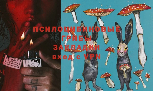 твердый Арсеньев